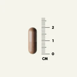 DENSE Härän Kivekset