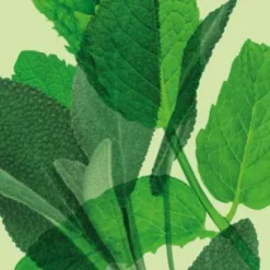 Ecodenta Brilliant Whitening Valkaiseva Fluorihammastahna