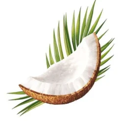 Ecodenta Minty Coconut Suuvesi