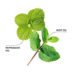 Ecodenta Minty Coconut Suuvesi