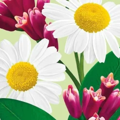 Ecodenta Sensitivity Relief Herkkien Hampaiden Fluorihammastahna