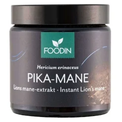 Foodin Pika-Mane