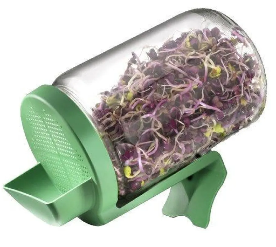 Germline Lasinen Idätysastia