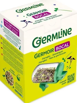 Germline Lasinen Idätysastia