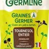 Germline Luomu Auringonkukansiemen