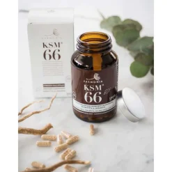 Harmonia KSM66