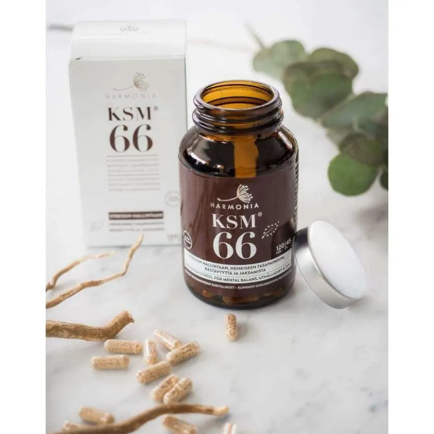 Harmonia KSM66