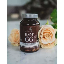 Harmonia KSM66