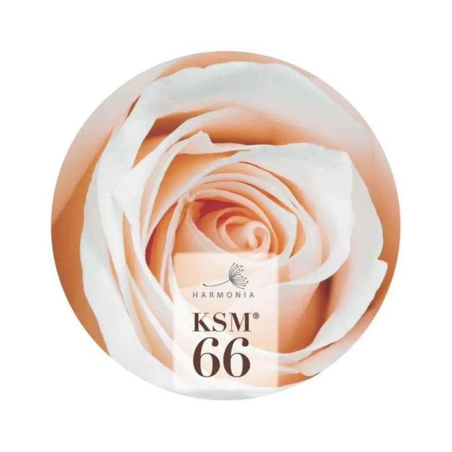 Harmonia KSM66