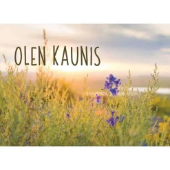 Hidasta Elämää Kuvakortit
