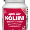 Hyvän Olon Koliini