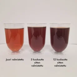 Karin Havupuu-uutejuoma 6-pack