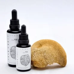 KÄÄPÄ Mushrooms Luomu Lion's Mane sieniuute