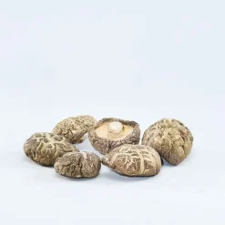 KÄÄPÄ Mushrooms Luomu Shiitake sieniuute