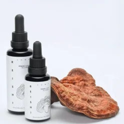 KÄÄPÄ Mushrooms Reishi sieniuute