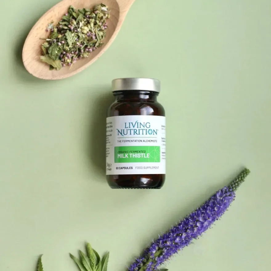 Living Nutrition Fermentoitu Maarianohdake