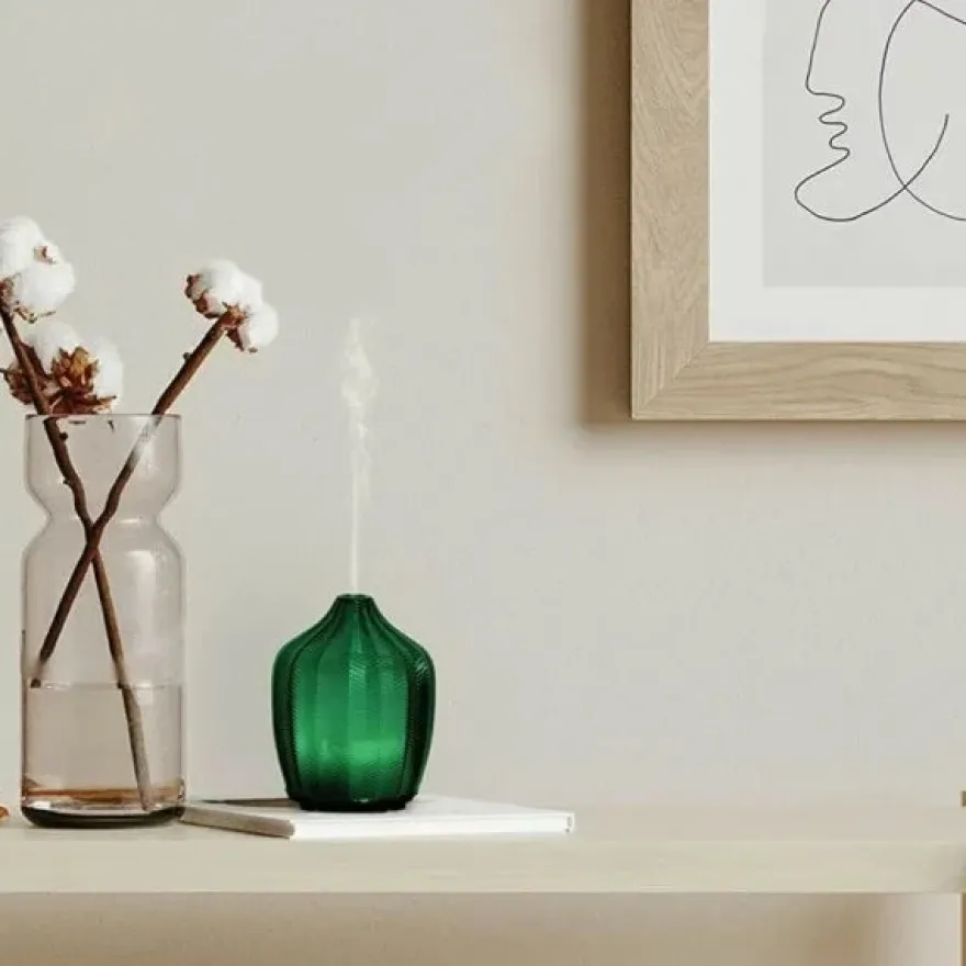 Made by Zen Fern Diffuuseri