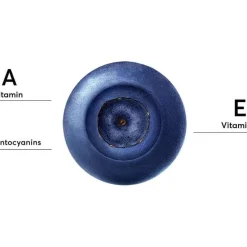Mossa Youth Defence Moisturising Antioxidant Päivävoide