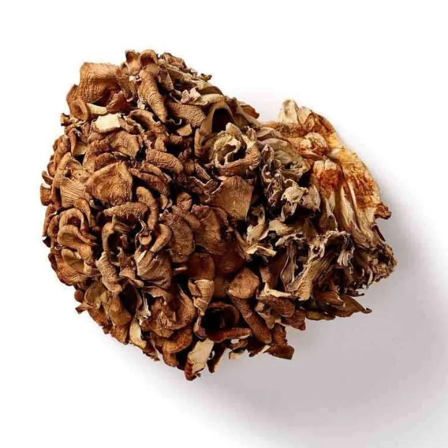 Mushrooms For Life Luomu Maitake