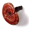 Mushrooms For Life Luomu Reishi