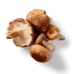 Mushrooms For Life Luomu Shiitake