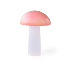 Myga Seleniittisieni