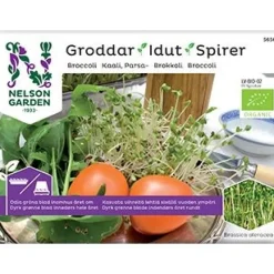 Nelson Garden Idut Luomu Parsakaali