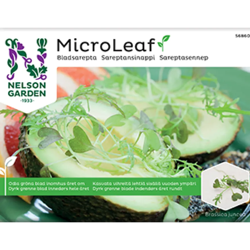 Nelson Micro Leaf Sareptansinappi (Parasta ennen 30.09.2026)
