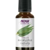 Now Foods Eucalyptus Radiata Eteerinen öljy