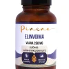 Pinena Elinvoima