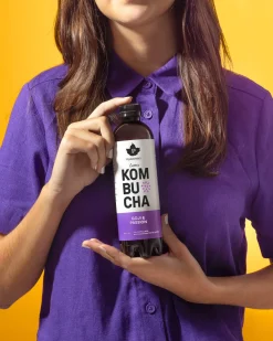 Puhdistamo Luomu Kombucha Goji & Passion 12-pack