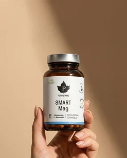 Puhdistamo Smart Mag