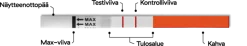RFSU Raskaustestiliuska