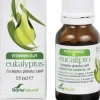 Soria Natural Eukalyptus Eteerinen Öljy (Parasta ennen 31.10.2026)