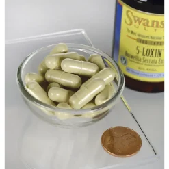 Swanson Boswellia Serrata Extract