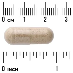 Swanson Milk Thistle 500 mg