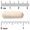 Swanson Saccharomyces Boulardii