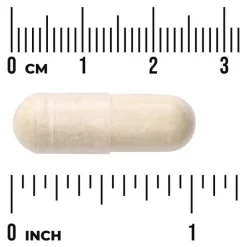 Swanson Saccharomyces Boulardii