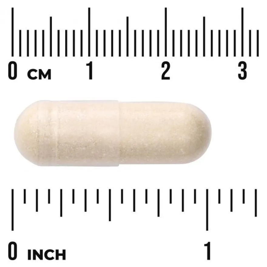Swanson Saccharomyces Boulardii