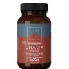 Terranova Chaga 500 mg