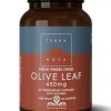 Terranova Oliivinlehti 450 mg