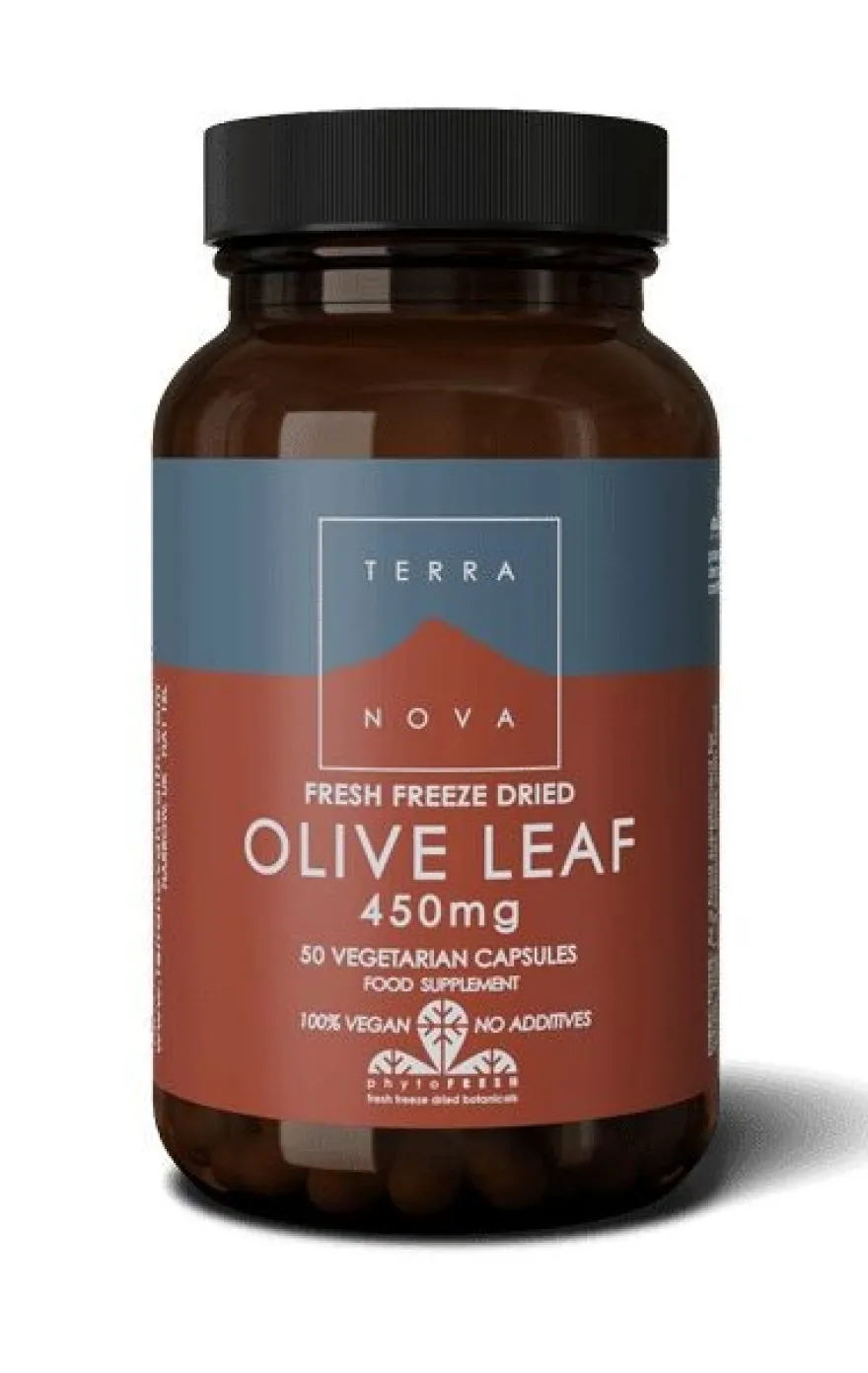 Terranova Oliivinlehti 450 mg