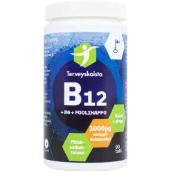 Terveyskaista Pitkävaikutteinen B12+B6+Foolihappo