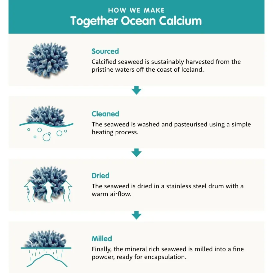 Together Health Bone Aid