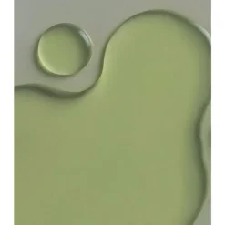 Whamisa Cactus Inner Skin Moisture Bouncy Serum
