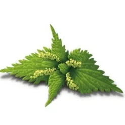 YogiTea Luomu Alkaline Herbs tee