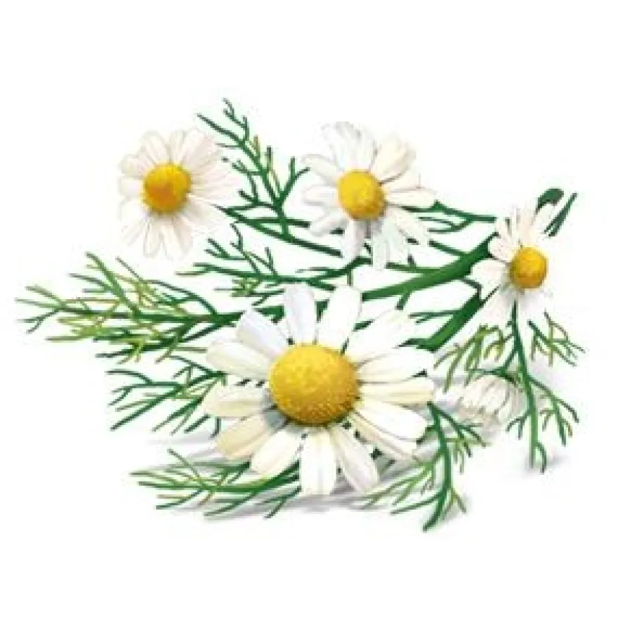YogiTea Luomu Relax tee